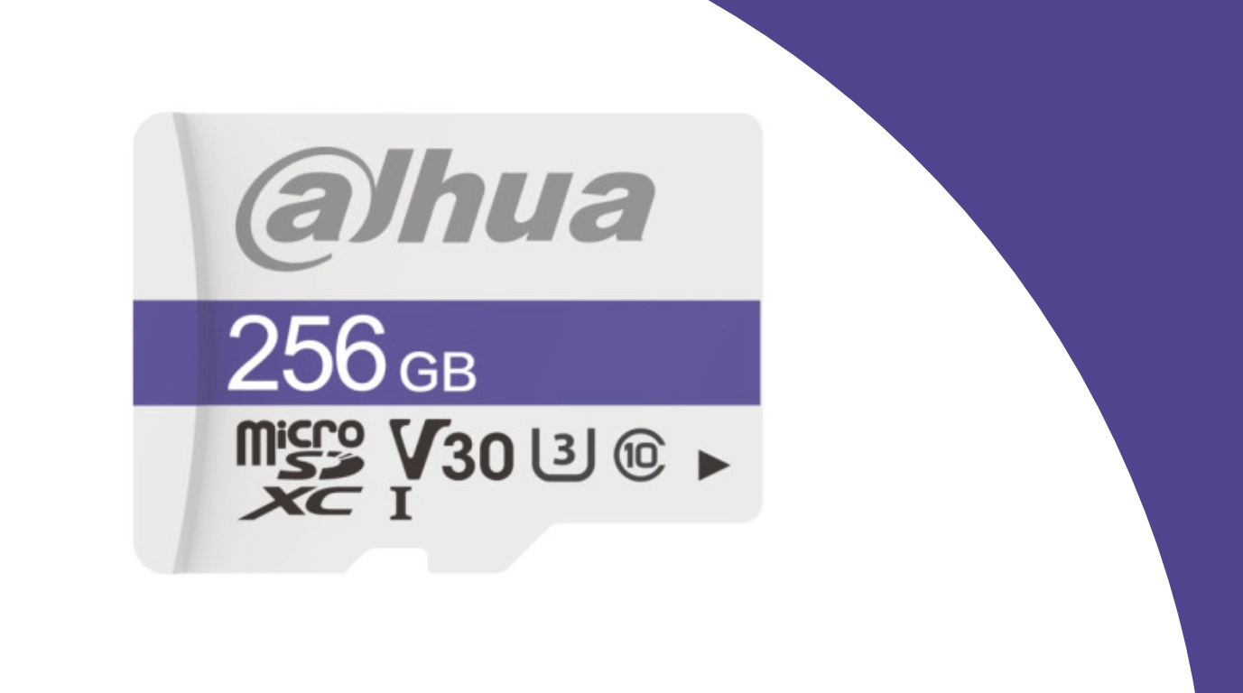 DHI-TF-P100/256GB  MICROSD